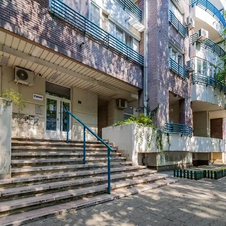 Zebrano Belgrade